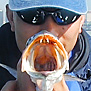 BTF_David's Avatar