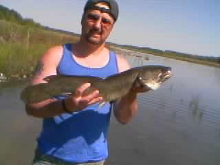 BOWFIN