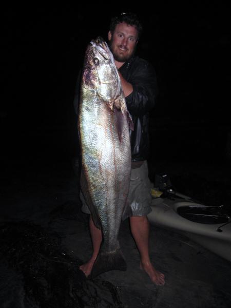 55lb WSB