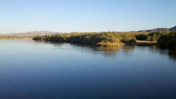 Colorado River Fishing