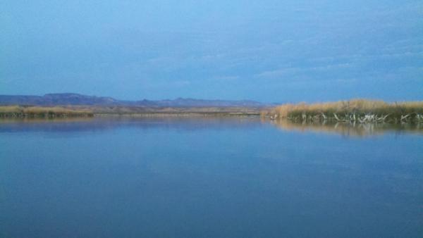 The Whole Marsh To Myself