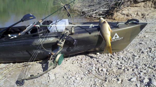 Kayak Bow Fishing For Carp