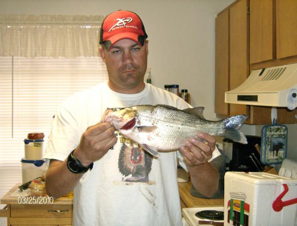 texas lampassas river record white bass