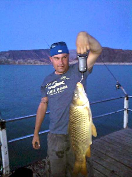 lake mead carp