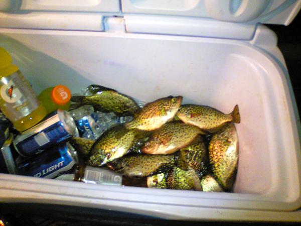 big bear lake crappie