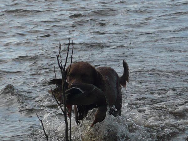 Fishing Partner "JEB" in Saskatchewan