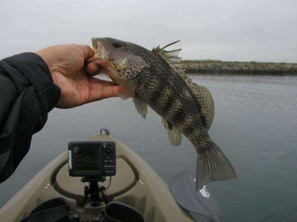 Kayak Fishing 20110316 01