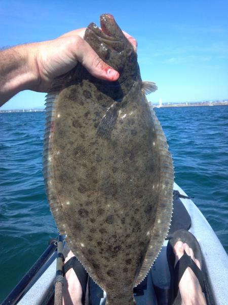 First fish on the yak....just my luck it was 21 3/4 inches long