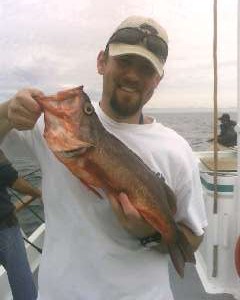 Salmon Grouper on The San Diego