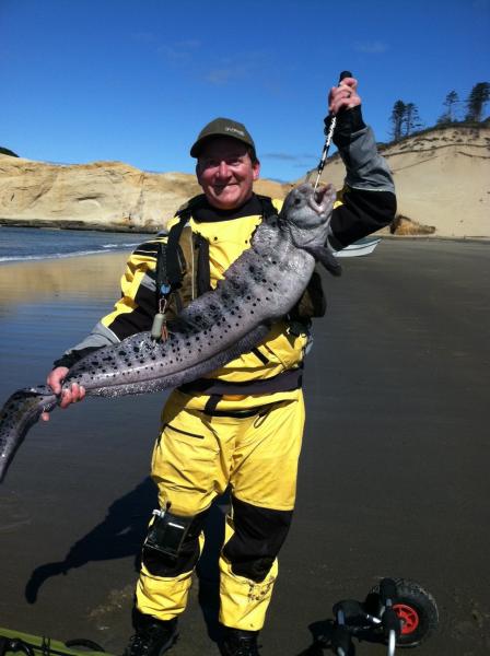 wolf eel