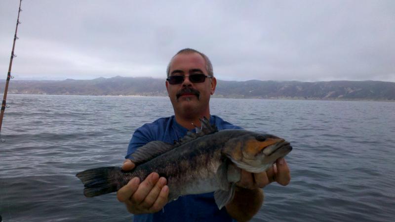 2013 07 28 spawning calico released