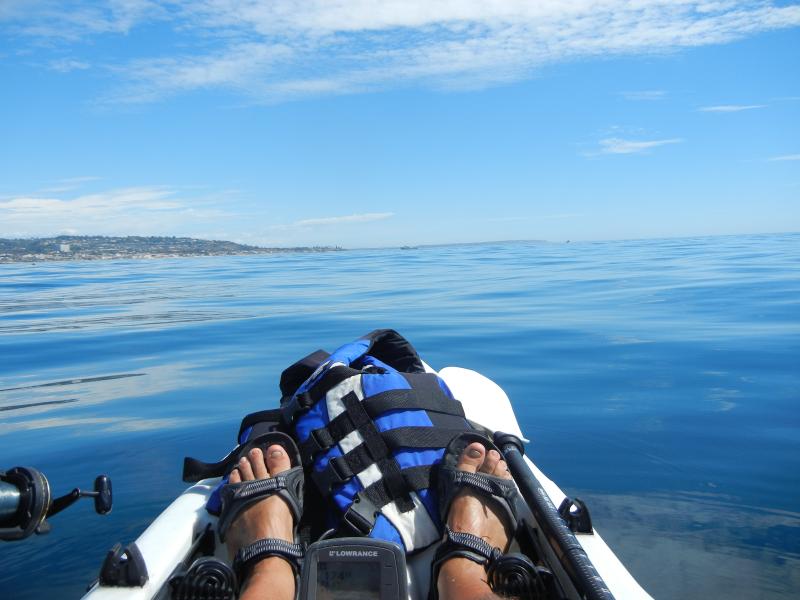 Off La Jolla 174 ft deep looking South towards Bird Rock