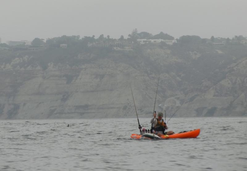 C. Cary gaffing a Yellowtail. Torrey Pines and Blacks Beach in background. (taken from approx. 100 yards away)