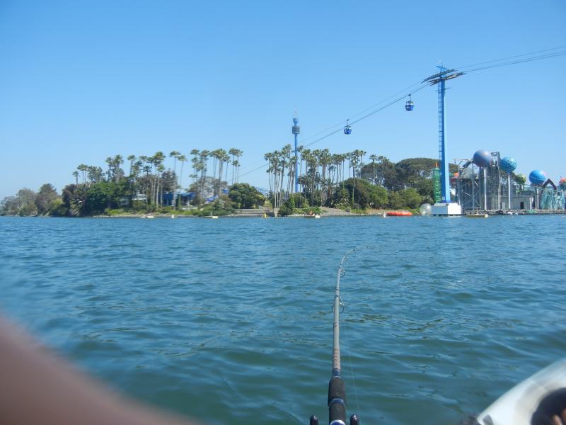 Fishing for Spotties by Sea World