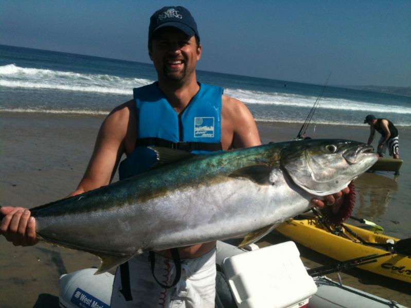 First Yellowtail 2012 (800x600)