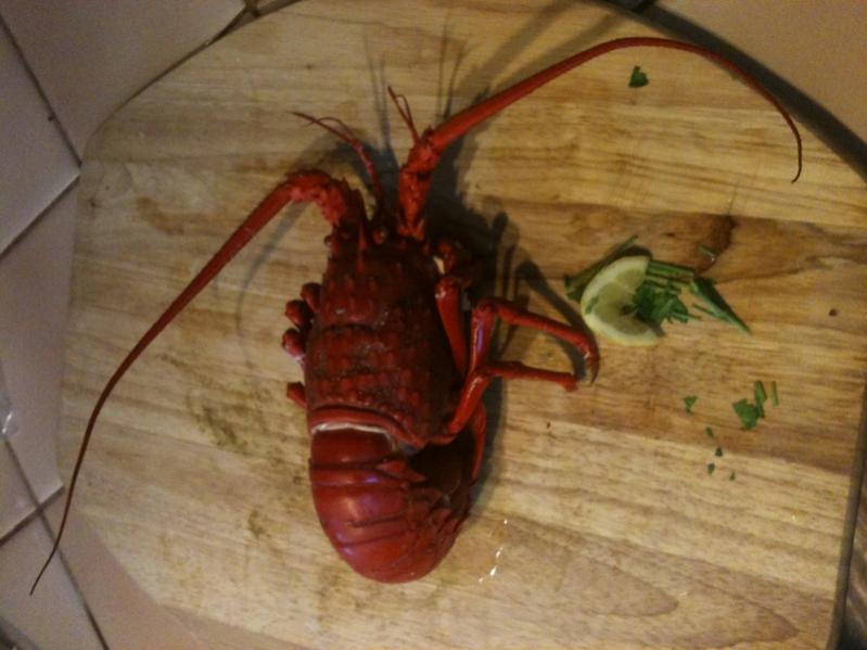 Cooked (600x800)