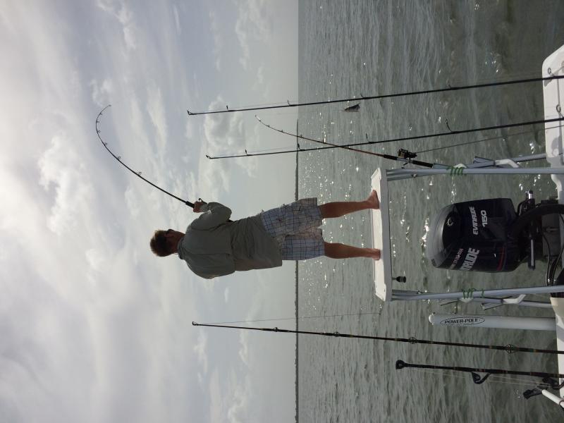 Failed to land this tarpon but i liked the picture