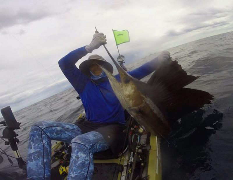 Ft laudederdale Sailfish