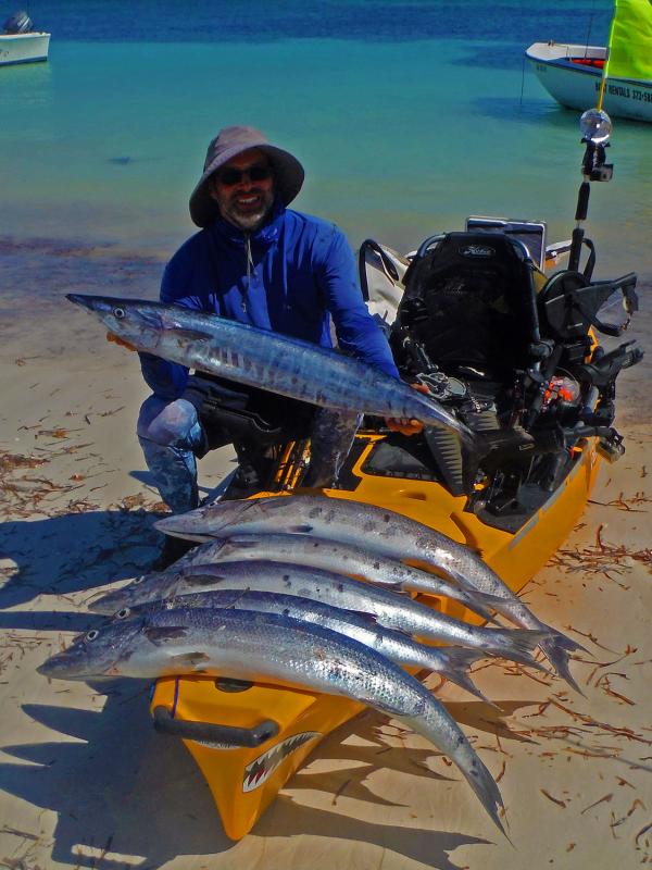 If only they were all Wahoos -- Lucaya, Grand Bahamas