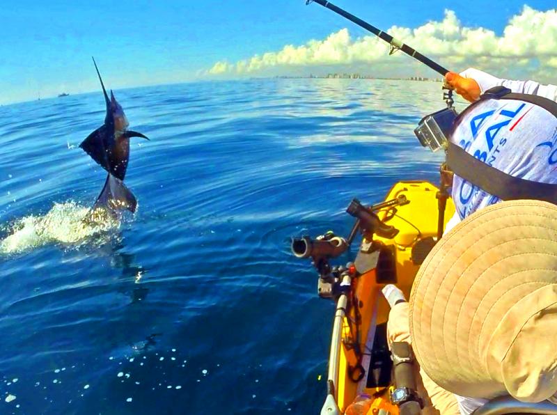 Sailfish Jumping