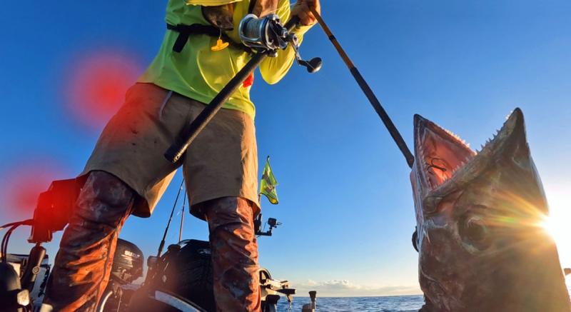 King Mackerel on the Gaff