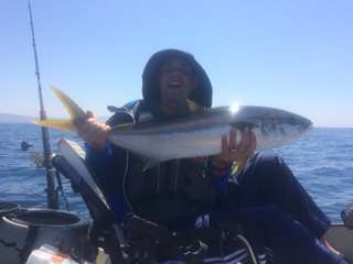 First Kayak Yellow Tail!  Too Fun!