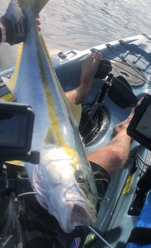 First Kayak Yellowtail