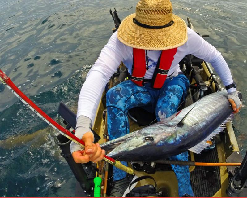 Angry Hammerhead banging against kayak after pulling Wahoo onboard.