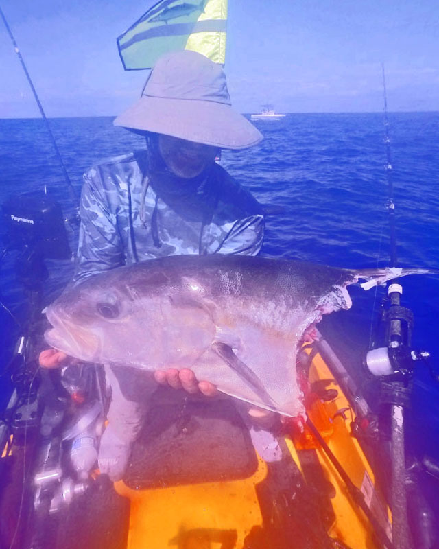 Bite radius of a apex shark.