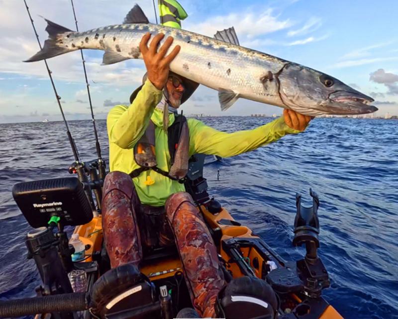 Releasing a Great Barracuda