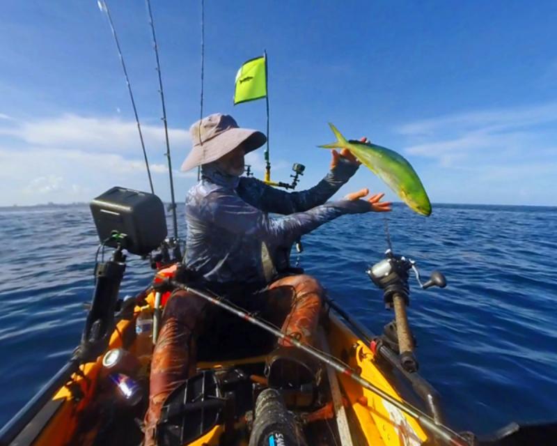 Releasing a Mahi Mahi