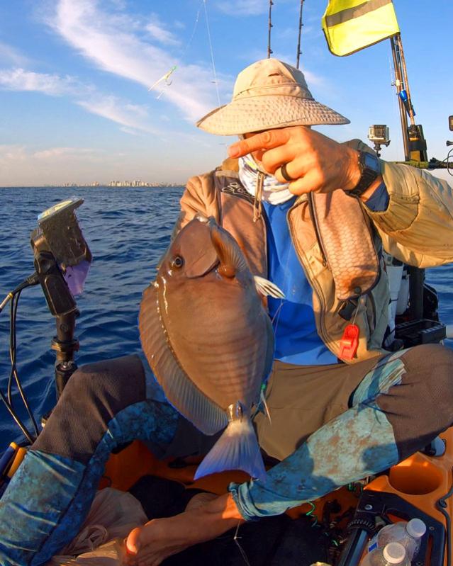 Surgeon Fish on a Sabiki