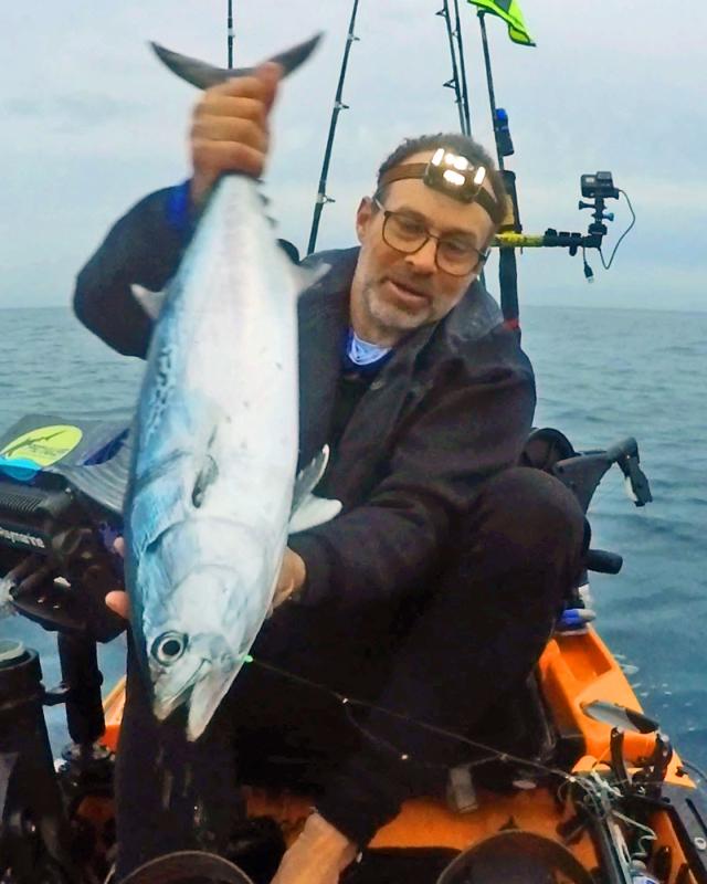 Little Tunny landed on a Sabiki rig.