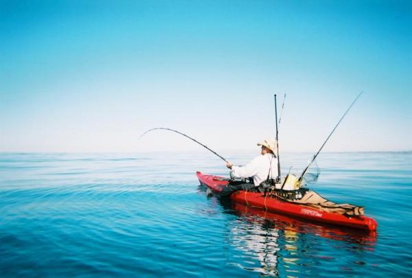 This is an awesome pic taken by "the kid", who helped me catch my first Yellow Tail. This would be a great Ad pic for wilderness systems! Or for The kids fishing guide service!!