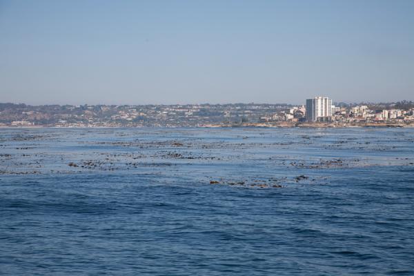 La Jolla1